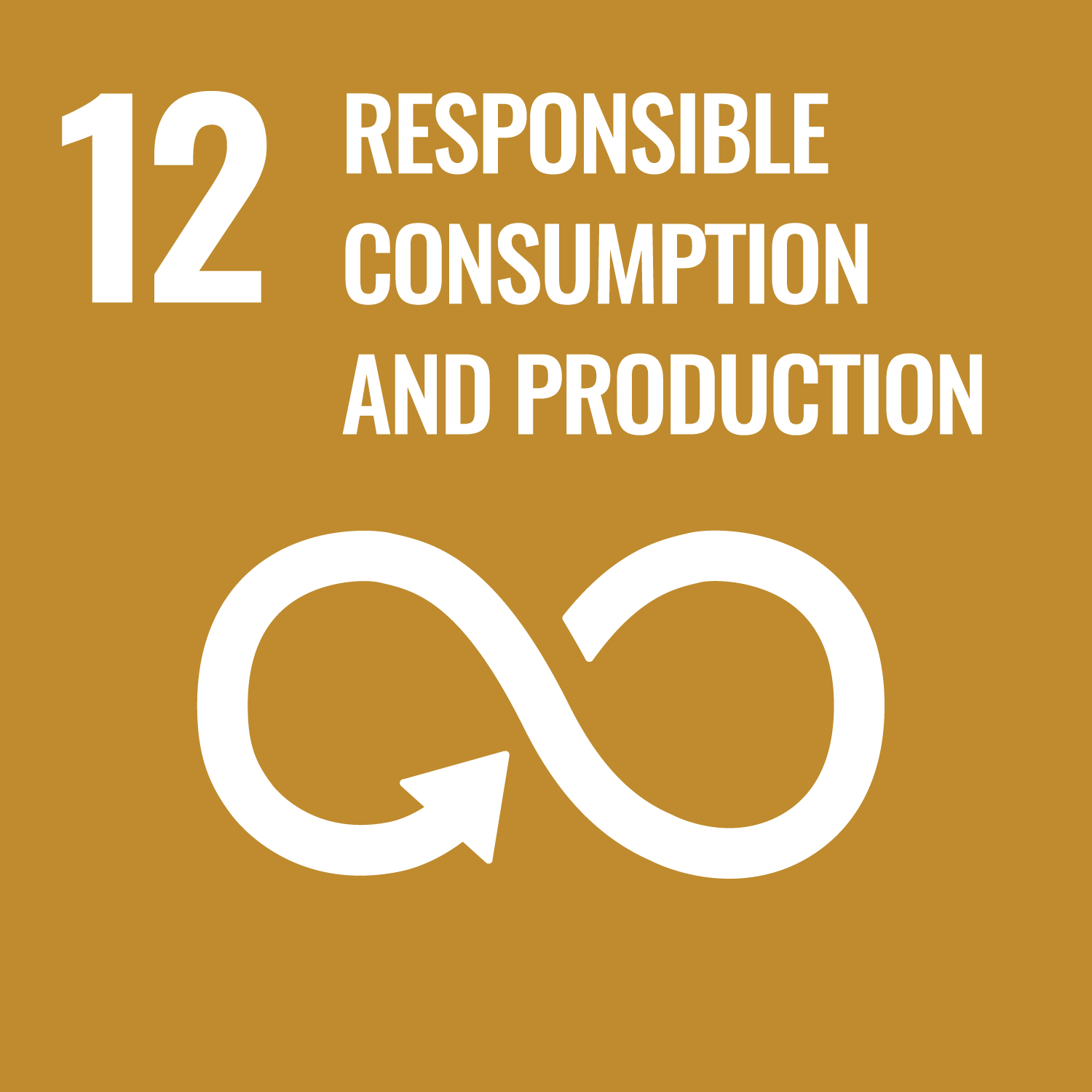 SDG12 - RESPONSIBLE CONSUMPTION AND PRODUCTION 