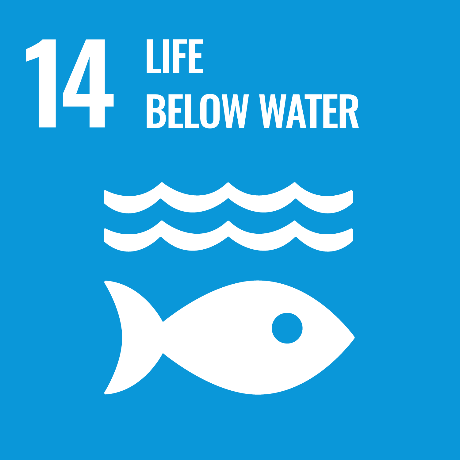 SDG14 - LIFE BELOW WATER