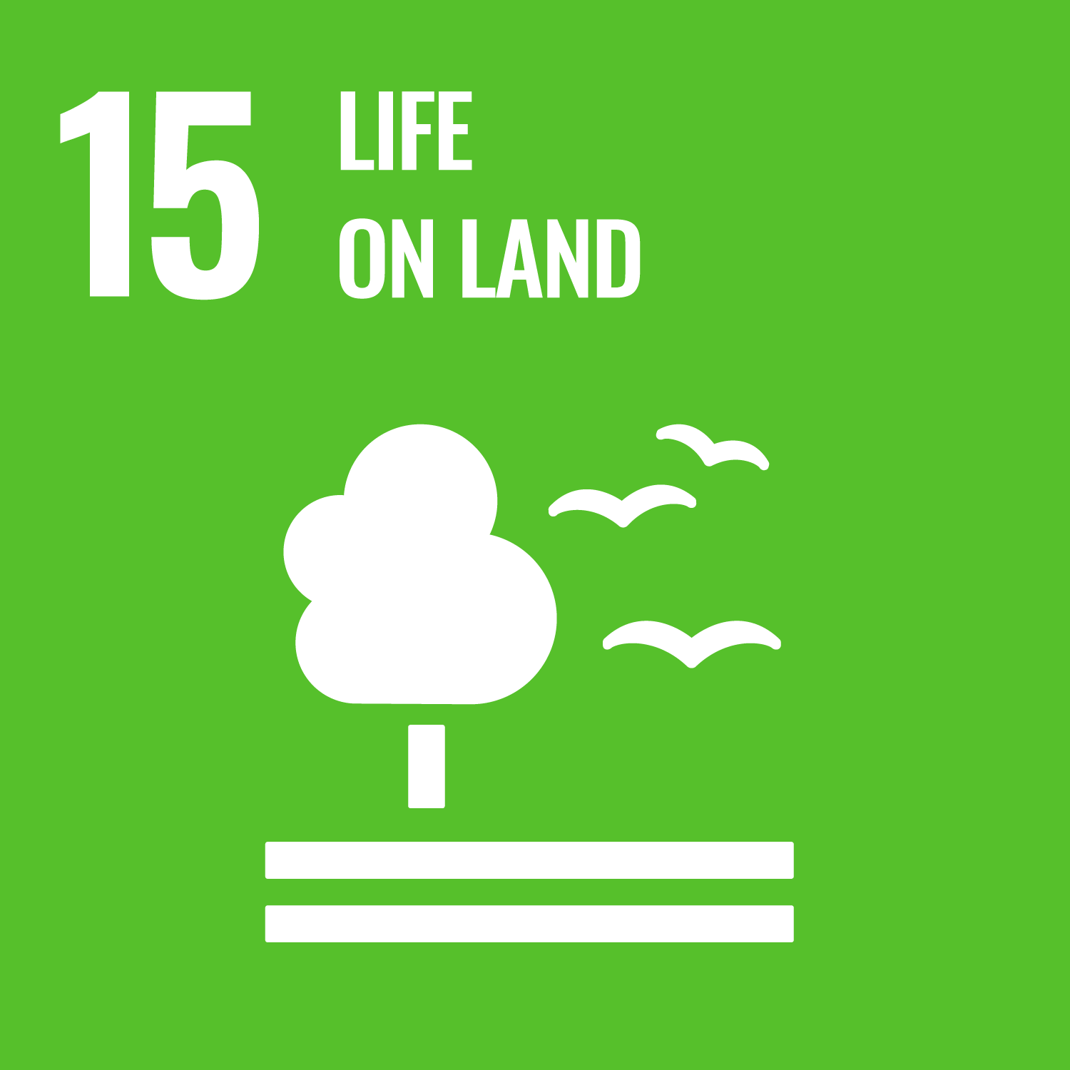 SDG15 - LIFE ON LAND