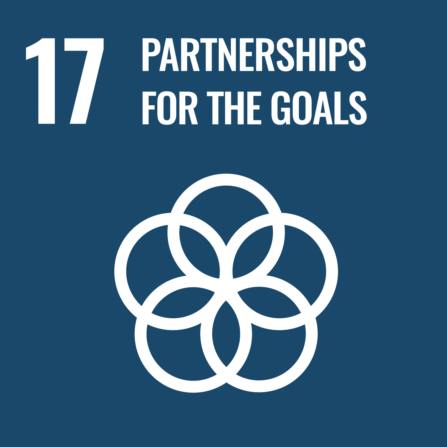 SDG17 - PARTNERSHIPS FOR THE GOALS