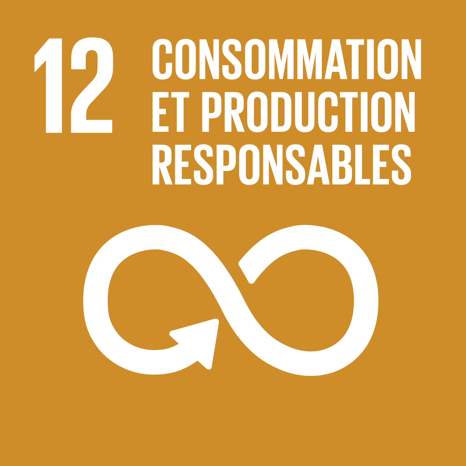 ODD12 - CONSOMMATION ET PRODUCTION RESPONSABLE