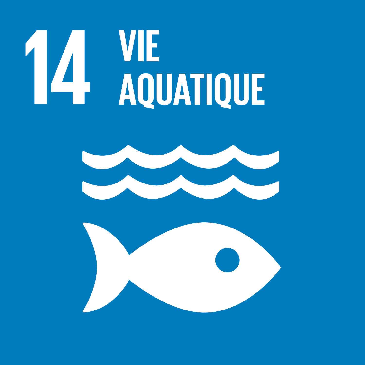 ODD14 : vie aquatique