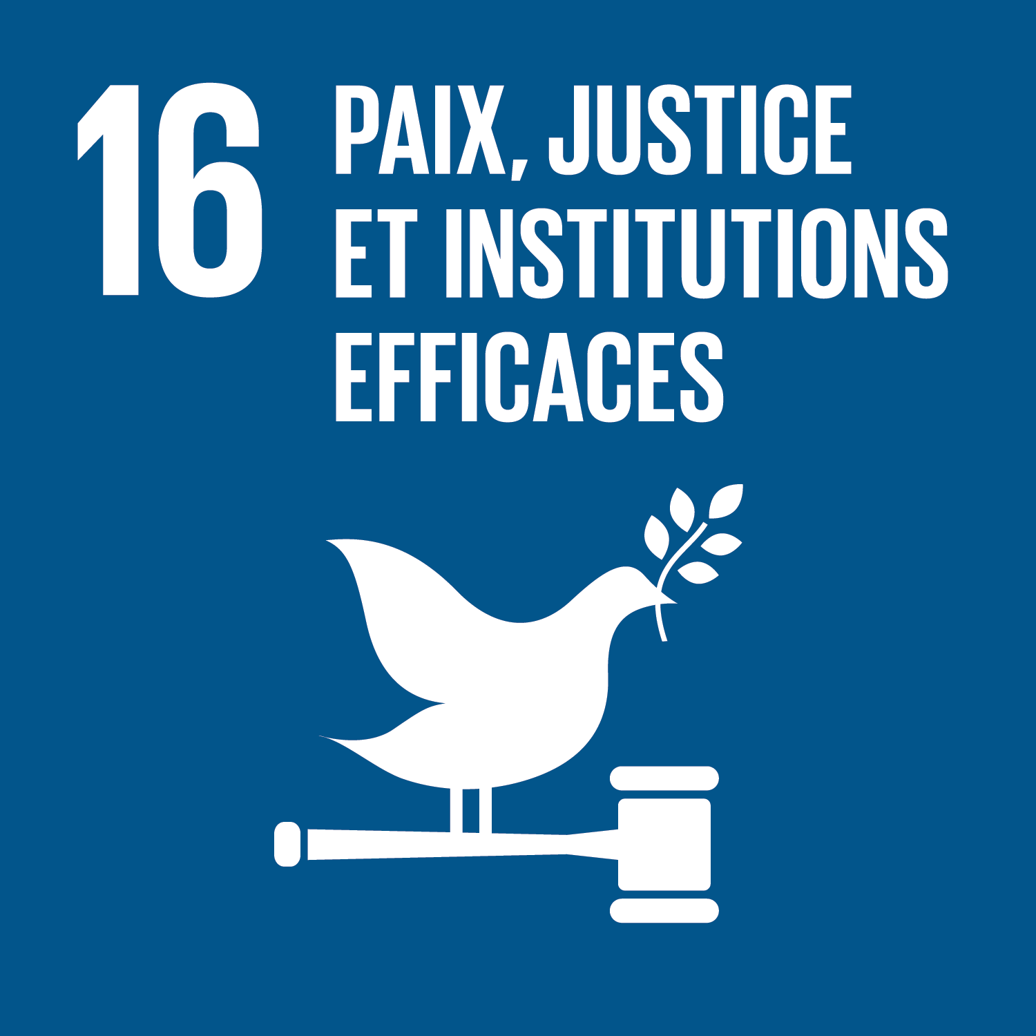 ODD16 : paix, justice et institutions efficaces