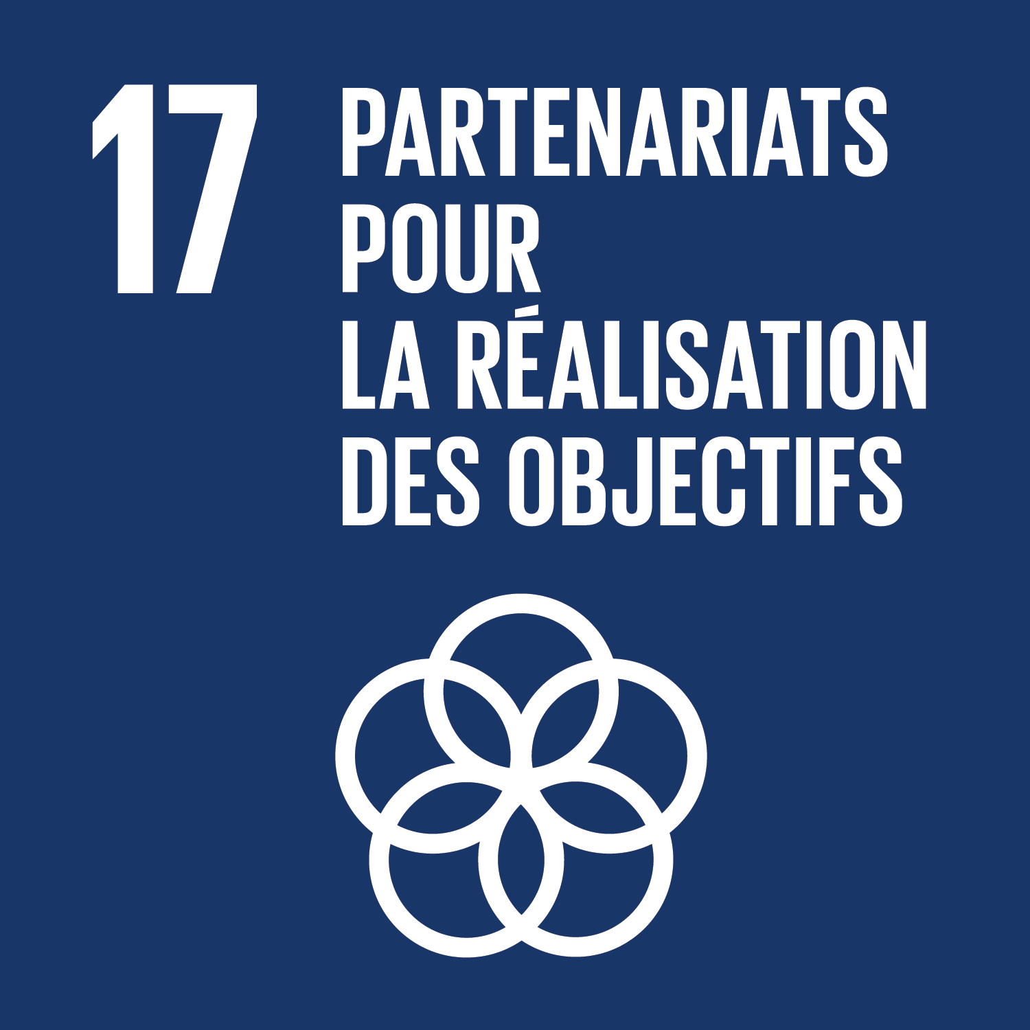 ODD17 : Partenariats pour la réalisation des objectifs