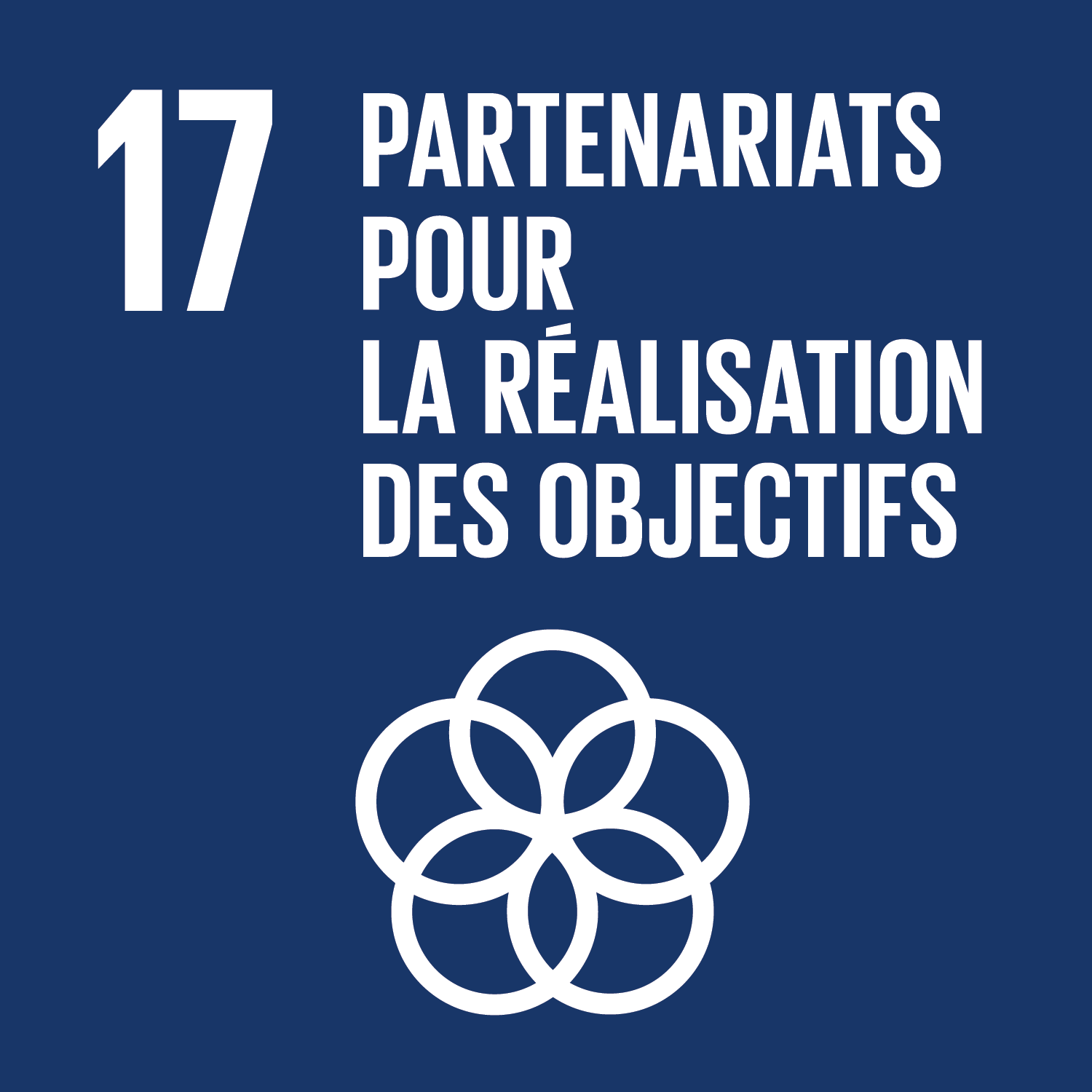 ODD17 - PARTENARIATS POUR LA RÉALISATION DES OBJECTIFS