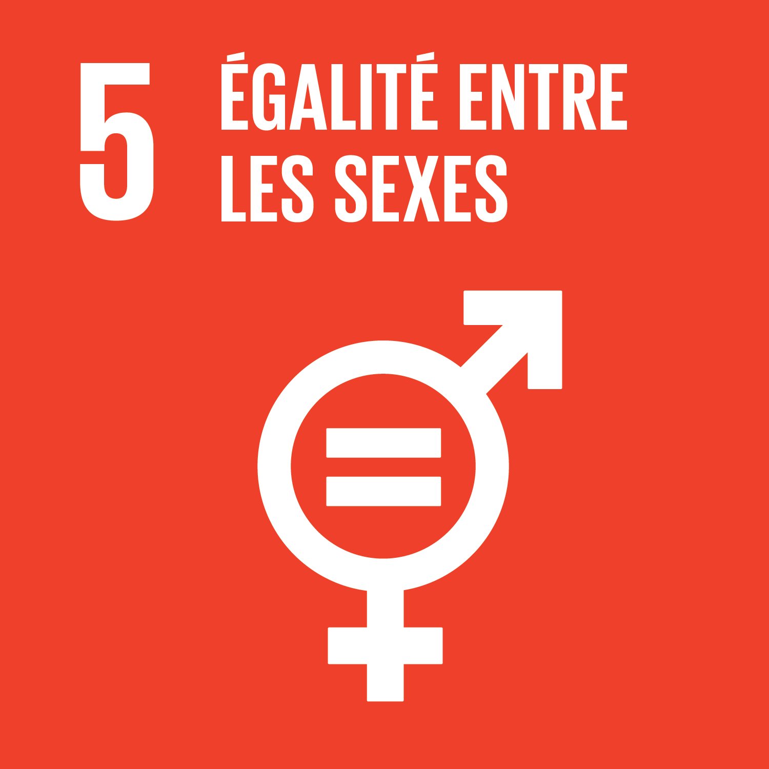 ODD5 : égalité entre les sexes