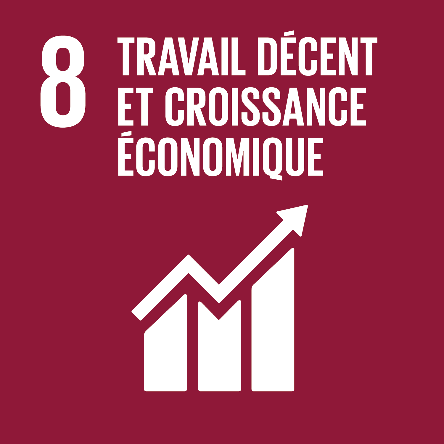 ODD8 - TRAVAIL DÉCENT ET CROISSANCE ÉCONOMIQUE