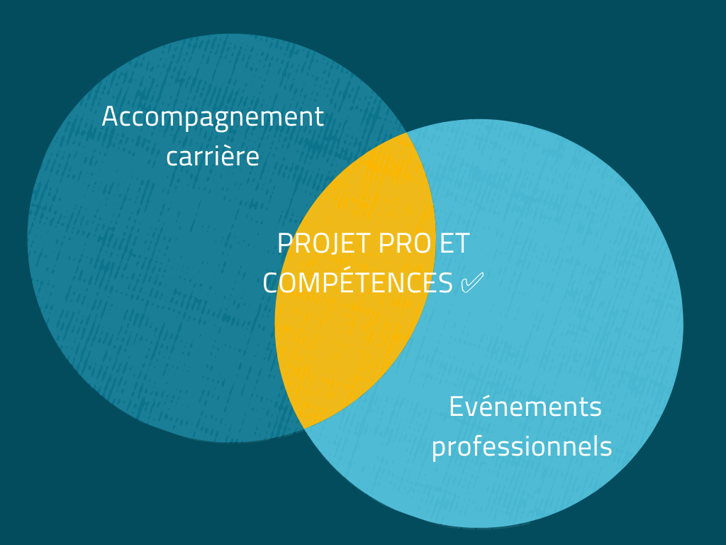 Schéma ‘notre approche’ : accompagnement carrière et évènements professionnels ; au milieu des 2 se rencontrent le projet pro et les compétences