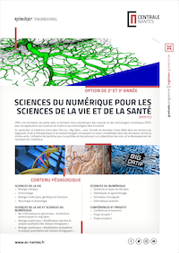 Brochure de l'option Sciences du numérique pour les sciences de la vie et de la Santé